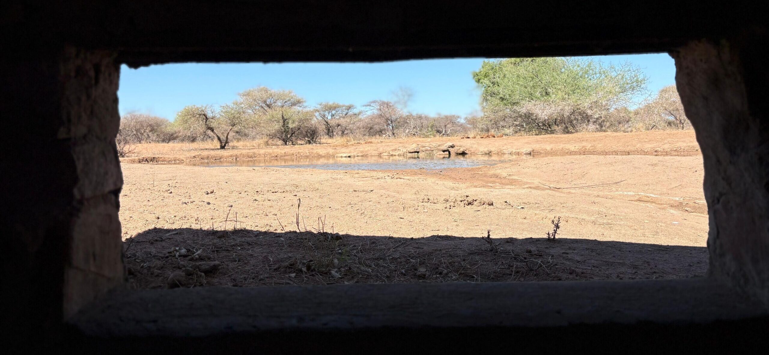 Open ground seen through the shooting window of a bow hunting blind
