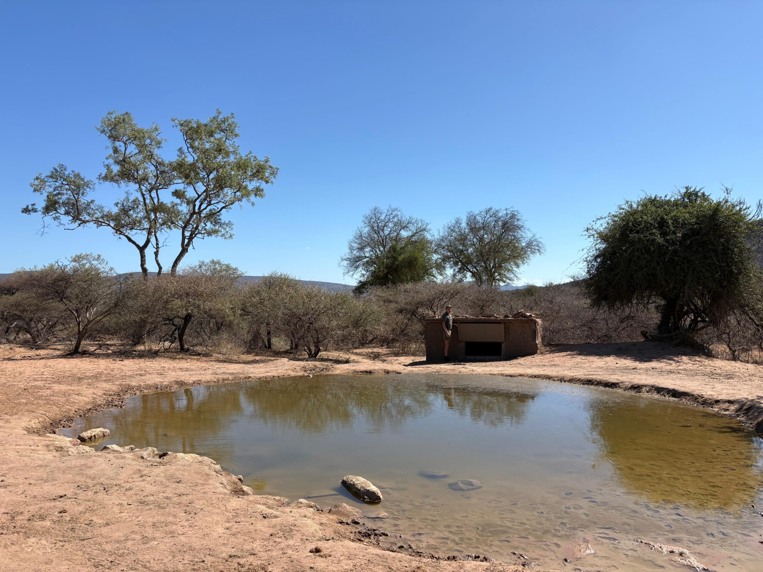 Waterhole with a bow hunting blind on the far side
