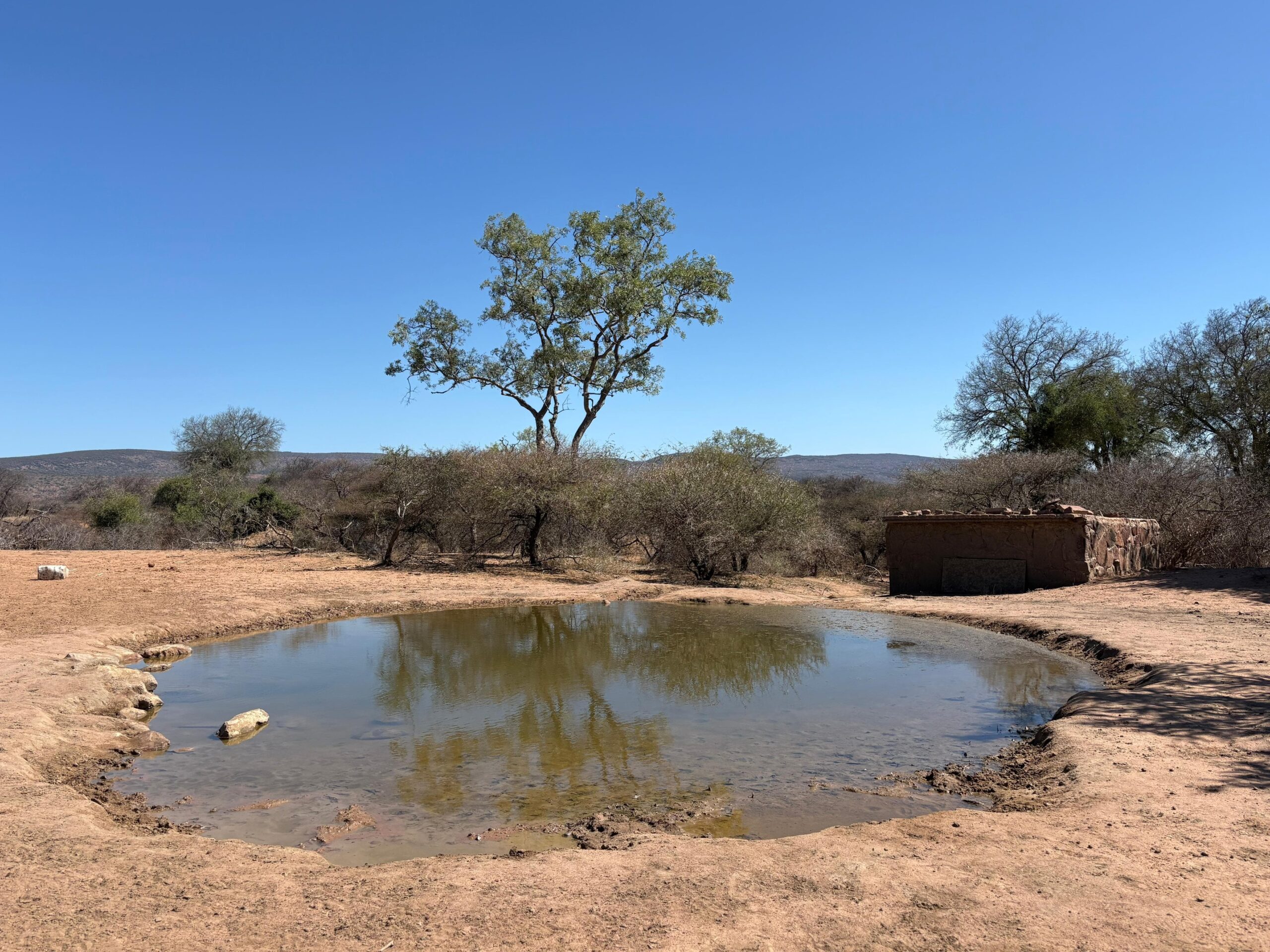 Bushveld waterhole overlooked by a sunken bow hunting blind
