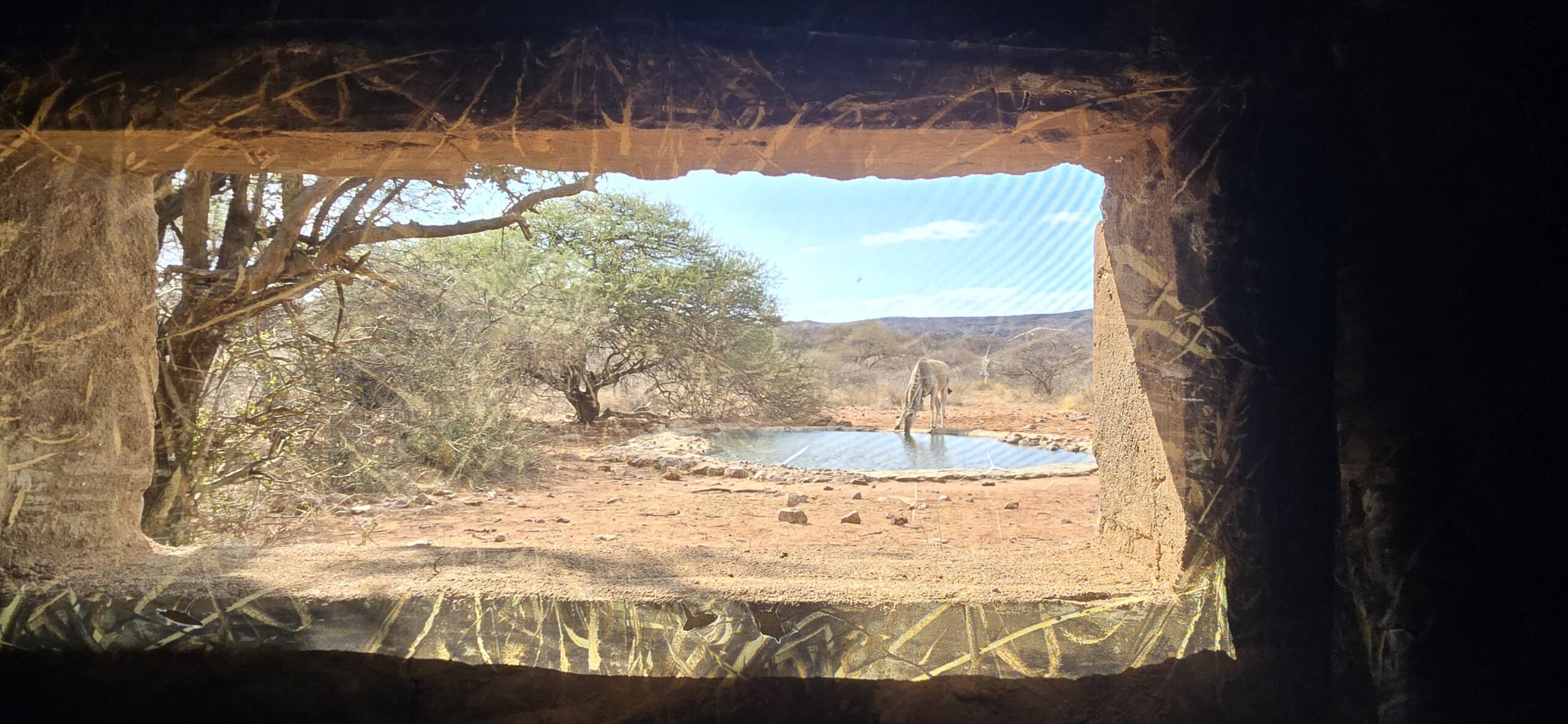 View from a bow hunting blind over a waterhole