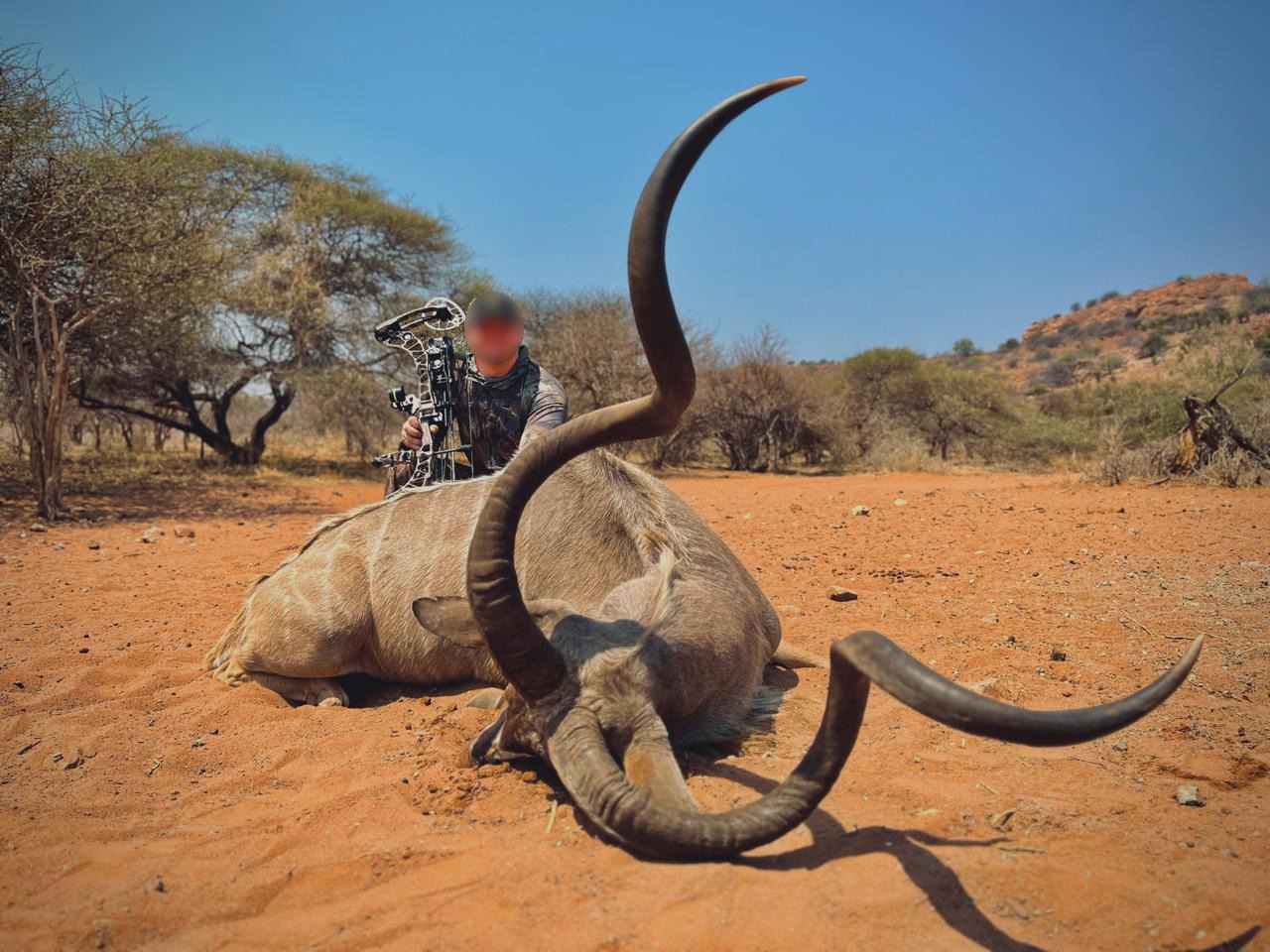 Bow hunter with a kudu bull on red sand