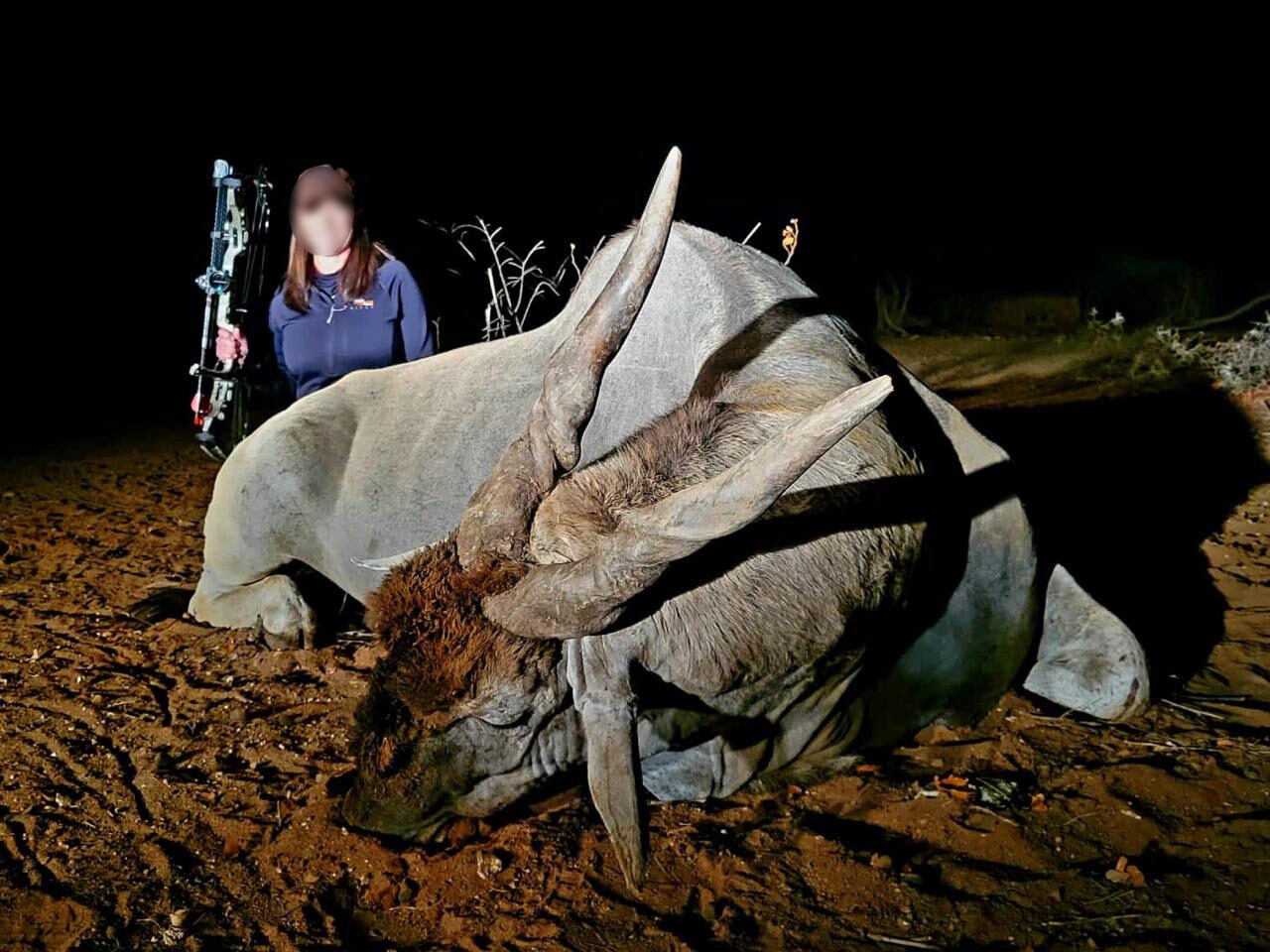 Bow hunter with an eland taken at night