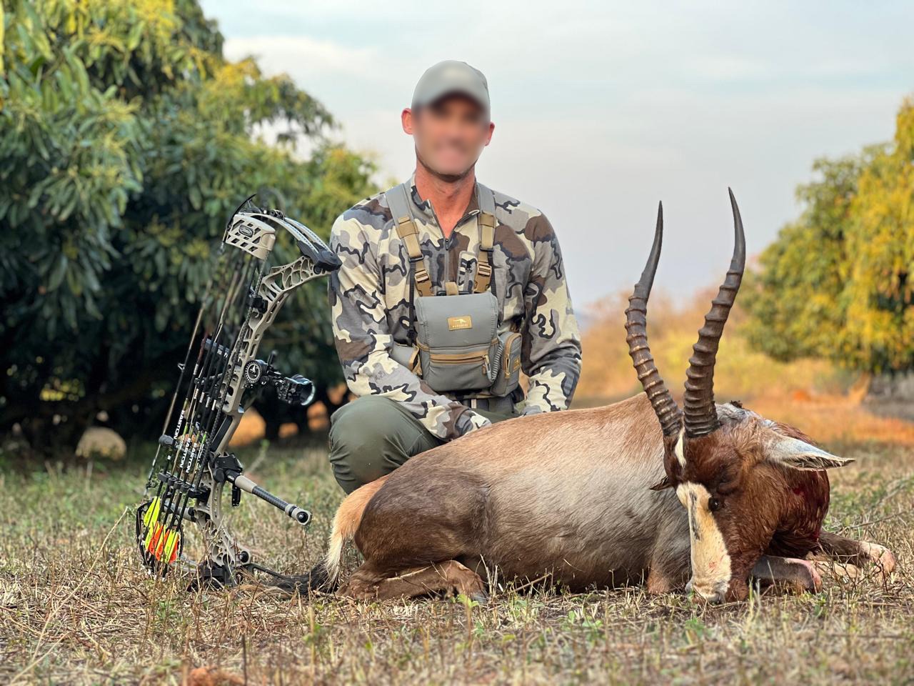 Bow hunter with a sable antelope