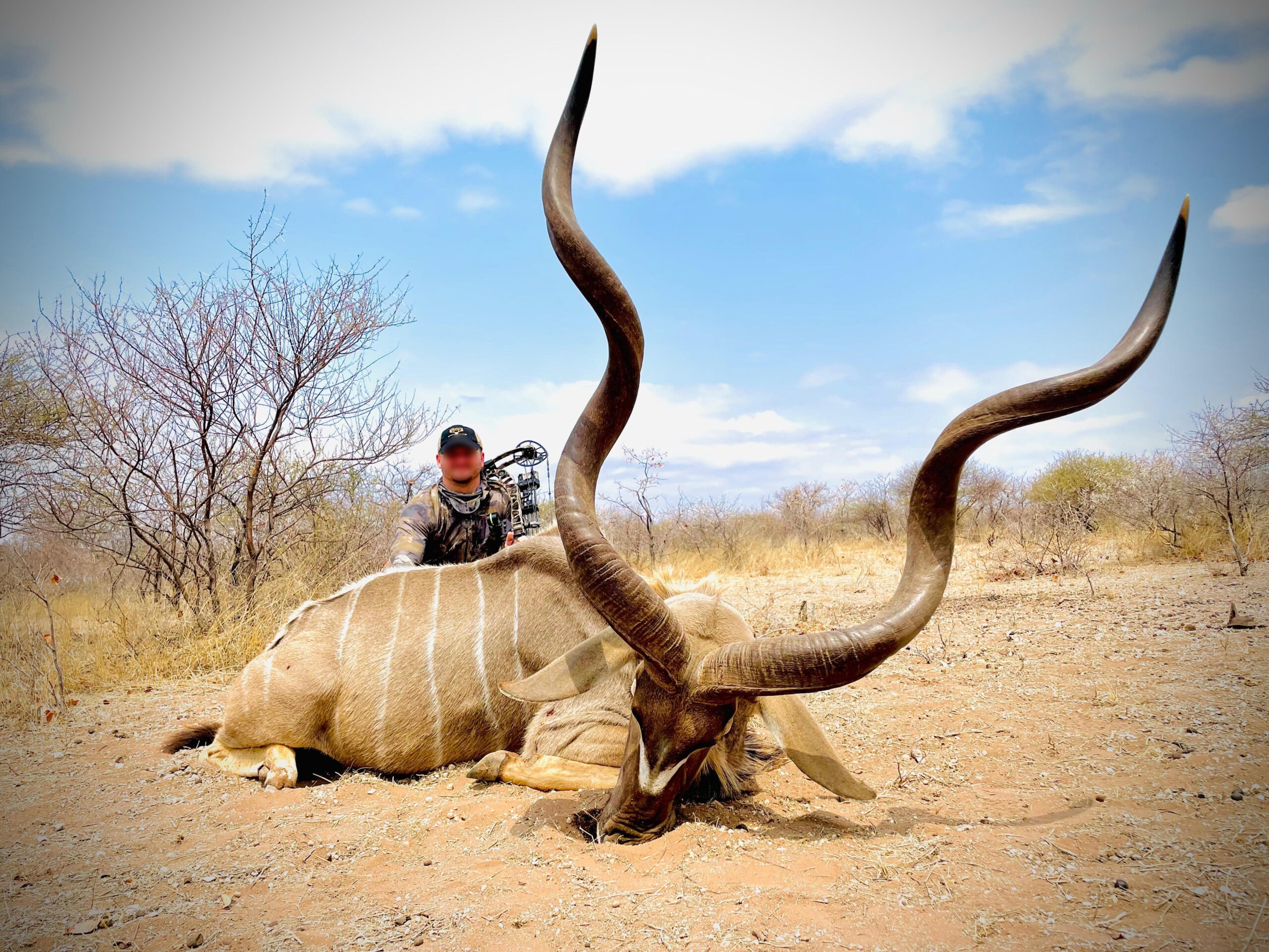 Bow hunter with a kudu bull in the bushveld