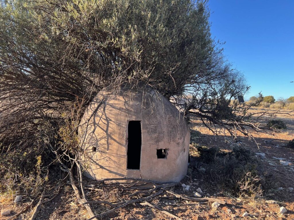 Clay pop-up style bow hunting blind among thorn bushes