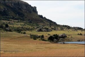 Wide grassland valley below a mountain ridge
