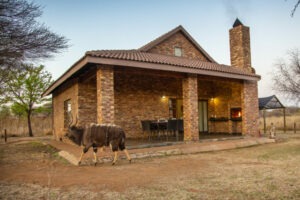 Brick lodge with a covered patio and a kudu grazing outside