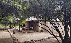 Guest chalet with a deck among thorn trees