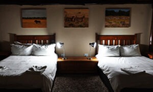 Twin guest room with wildlife paintings above the beds