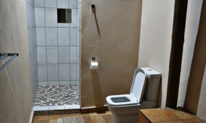 Tiled en-suite shower and toilet
