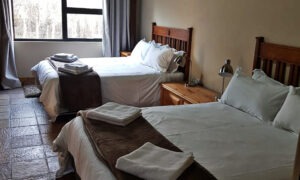 Twin guest room with dark wooden headboards