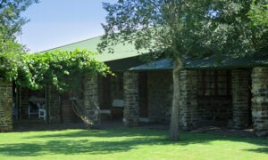 Vine-covered stone lodge building beside the lawn