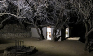 Guest chalet among thorn trees at dusk