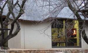 Thatched guest room glowing at dusk under thorn trees