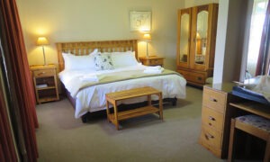 Double bedroom with a wooden bed and wardrobe