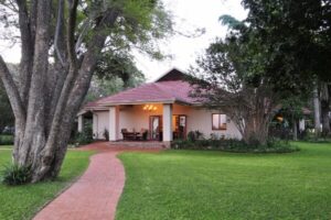Lodge cottage with a red roof among large trees